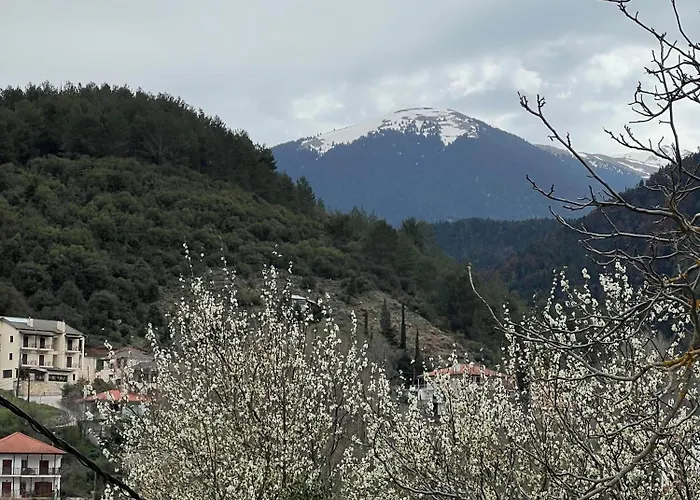 Апартаменты Kotrona